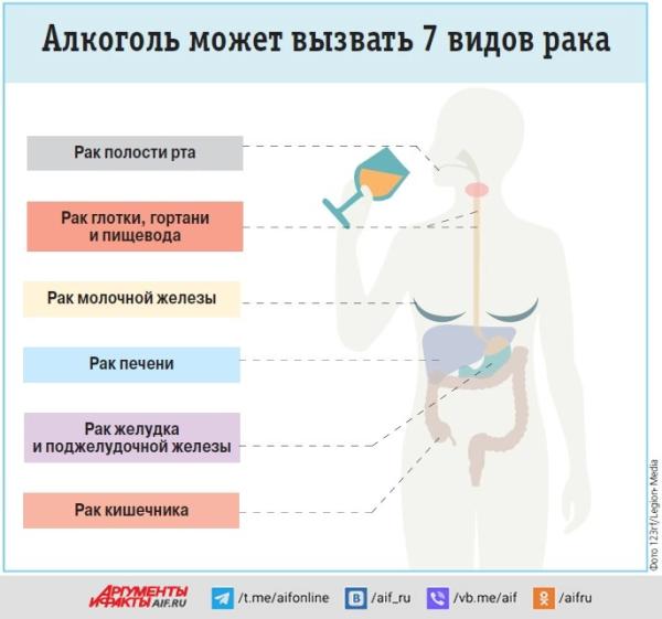 Пьём не за здоровье. Как связаны онкологические заболевания и алкоголь     
        Пьём не за здоровье. Как связаны онкологические заболевания и алкоголь