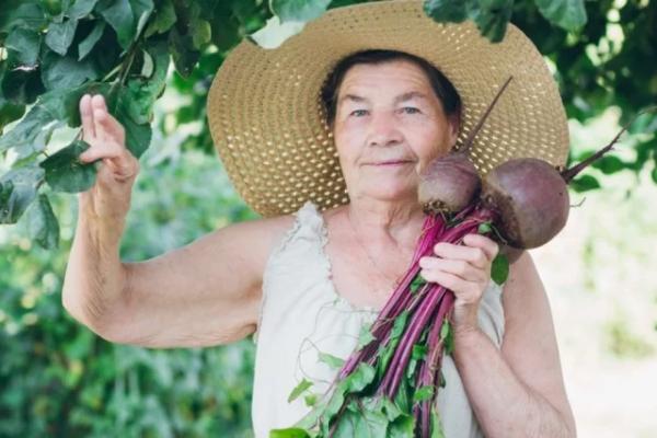 Исследование длилось 27 лет. Вредные нитраты в овощах защищают от деменции
Исследование длилось 27 лет. Вредные нитраты в овощах защищают от деменции