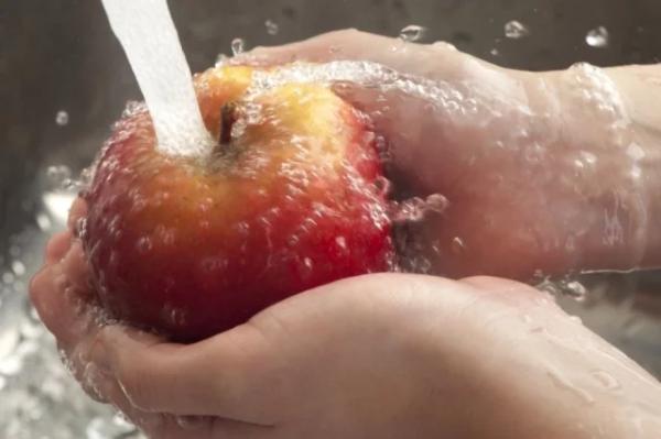 Каковы первые симптомы вируса Нипах?