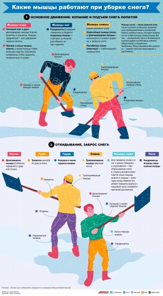 
        Это приговор спине! Невролог Гришин указал роковые ошибки при уборке снега    