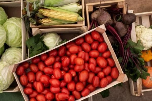 Виноват стресс? Названы неочевидные причины дефицита витаминов весной
Виноват стресс? Названы неочевидные причины дефицита витаминов весной